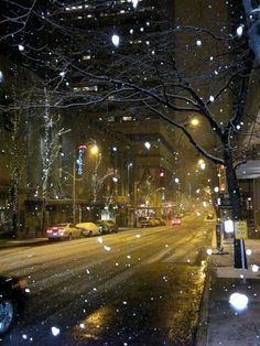 a snowy street with cars parked on the side and trees in the foreground at night