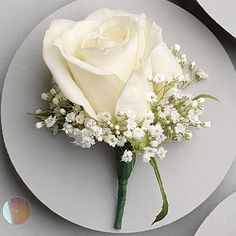 a white rose and baby's breath on a plate