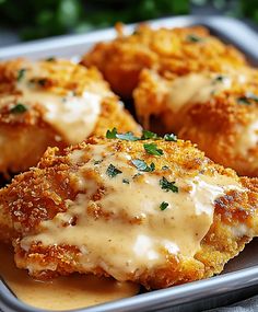 Crispy Cheddar Chicken with a golden, cheesy crust is a simple, family-favorite dinner. Perfectly juicy and packed with flavor! Crispy Chicken Cheddar Bake, Cheesy Crispy Chicken, Crispy Cheesy Chicken, Ritzy Cheddar Chicken, Crispy Cheddar Chicken Ritz Crackers, Cheesy Chicken Breast Recipes, Crispy Cheese Chicken, Cheddar Crusted Chicken, Cheez It Chicken