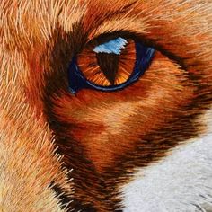 an animal's eye is shown in this drawing