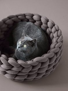 a black cat is sitting in a woven basket