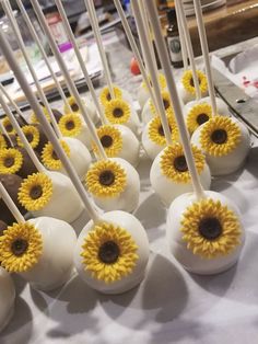 cake pops decorated with sunflowers and white chocolate are ready to be served for guests