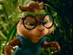 a cartoon squirrel wearing glasses and looking into the camera