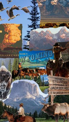 I love it Jackson Hole Wyoming Skiing, University Of Wyoming Aesthetic, Wyoming Wallpaper, Wildlife Aesthetic, Wyoming Camping, Wyoming Road Trip