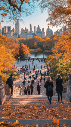 A scenic view of people walking down the steps towards Central Park, surrounded by vibrant autumn foliage, with the New York City skyline in the background under a clear blue sky. Central Park Nyc Autumn, New York City Living Aesthetic, City Adventure Aesthetic, Autumn In Central Park, Nyc In The Fall Aesthetic, Central Park In Autumn, Central Park In The Fall, City Autumn Aesthetic, Fall In New Jersey