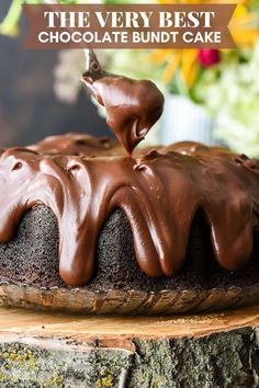 a chocolate bundt cake on top of a tree stump with the words, the very best chocolate bundt cake