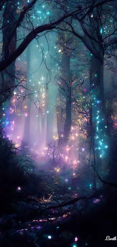 a forest filled with lots of trees covered in fireflies and stars, all lit up at night