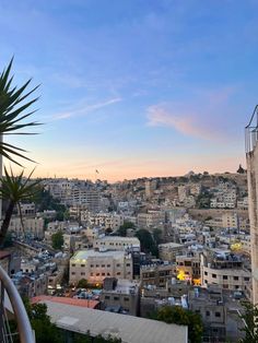 the city is full of tall buildings and palm trees in front of it, as the sun sets