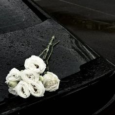 some white flowers sitting on the hood of a car