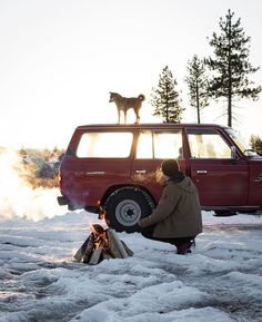 a man sitting in front of a campfire next to a dog on top of a car