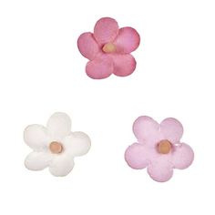 three different types of flowers are shown in this image, one is pink and the other is white