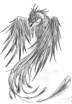 a drawing of a bird with large wings on it's back and tail feathers in the foreground