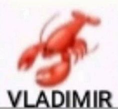 the logo for vladimr is shown in this file photo provided by facebook