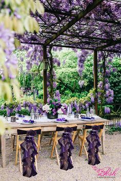 the table is set with purple napkins and place settings for dinner under the wistery pergolia