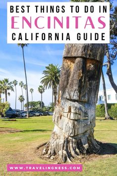 a palm tree with the words best things to do in encinitass california guide