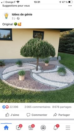 a small tree in the middle of a garden with rocks and gravel around it, next to a yellow house