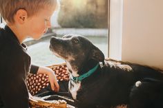 a young boy is petting a dog on the bed in front of a window