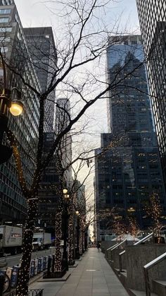 a city street lined with tall buildings covered in christmas lights and lite up trees