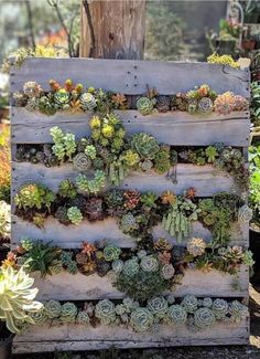 a wooden pallet filled with succulents and plants