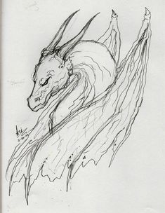 a drawing of a dragon with wings on it's back and head in the air