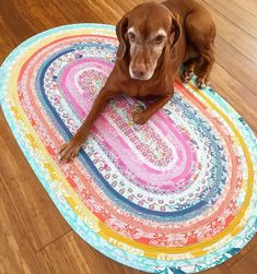 a brown dog laying on top of a colorful rug