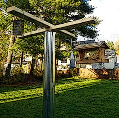 a metal pole with a bird feeder on top of it in the middle of a yard