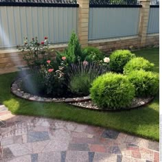 a garden area with grass, flowers and bushes in the middle of it's lawn