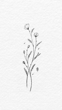 a black and white drawing of some flowers