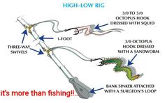 the diagram shows how high - low rigs can be used to collect liquid from water