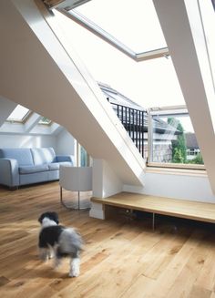 a dog is sitting on the floor in front of an open airy living room