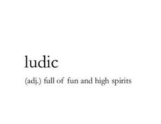 the words ludic are written in black and white on a white background with an image of