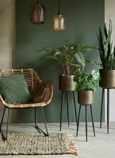 three plants in planters next to a chair and rug