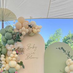 an arch decorated with balloons and greenery for a baby it's born party