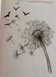 a drawing of a dandelion blowing in the wind with birds flying around it