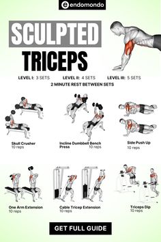 the complete guide to sculpted triceps