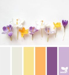 the color scheme is white, yellow, purple and orange with flowers on each side