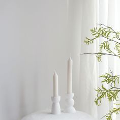 two white candles sitting on top of a table next to a vase with green leaves