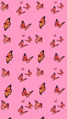 many orange butterflies on a pink background