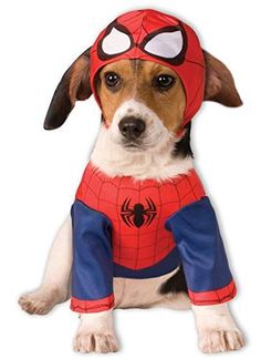 a dog wearing a spider man costume sitting on the ground in front of a white background