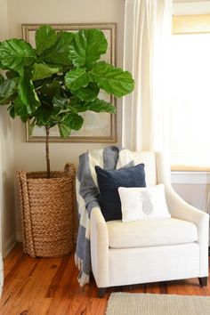 a living room with a white chair and a potted plant