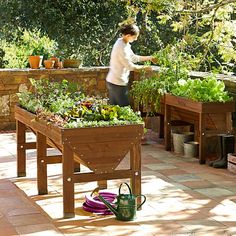 a woman in white shirt and black pants standing next to a wooden table filled with plants