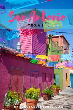 colorful buildings with the words san antonio texas over them and an image of some plants