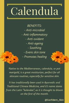 Calendula Oil Benefits, Calendula Soap, Calendula Benefits, Bath And Body Products, Herbal Apothecary, Herbal Magic