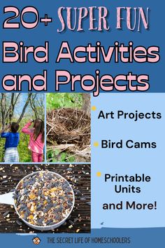 the book cover for 20 + super fun bird activities and projects