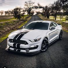 a white mustang with black stripes parked on the side of a road in front of trees