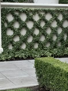 a hedge next to a sidewalk with a bench in the foreground and a white fence behind it