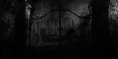 an iron gate in the middle of a dark forest