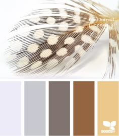 the color scheme is brown, beige and white with polka dotes on it's feathers