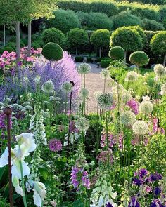 a garden filled with lots of white and purple flowers