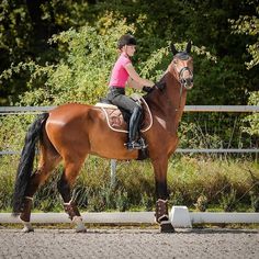 a woman riding on the back of a brown horse